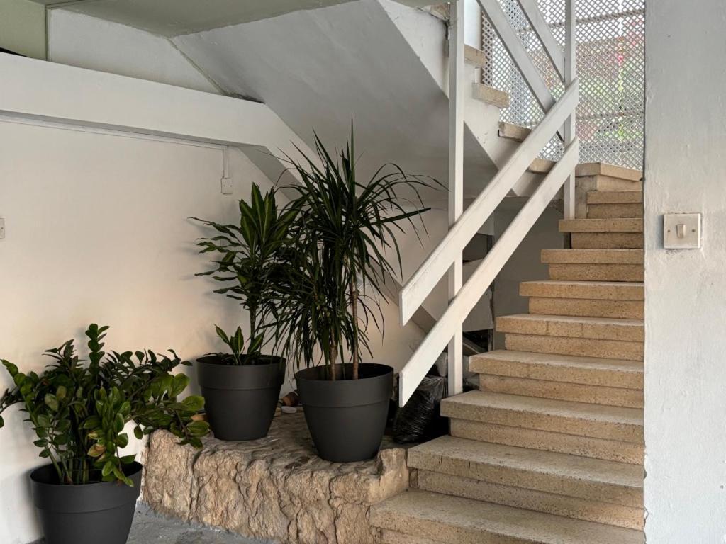Venus Lighthouse 2B, Sea-View, Paphos Center Apartment ภายนอก รูปภาพ